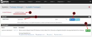 OpenVPN Export Client Package