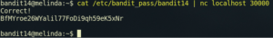 Netcat