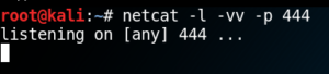 Netcat listener