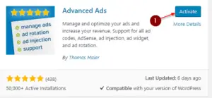 Adsense Auto Ads WordPress