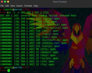 Netcat Service Scan