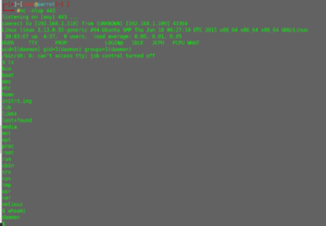 How to hack WordPress