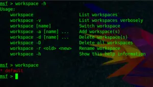 Metasploit Workspaces