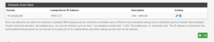 pfSense Domain Override