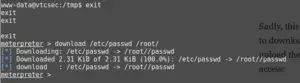 Basic Pentesting 1 Walkthrough