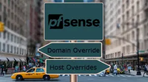 pfSense Domain Overrides