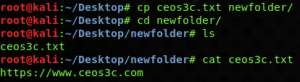 Linux Copy File Command - Made Easy!