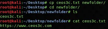 The Linux Copy File Command