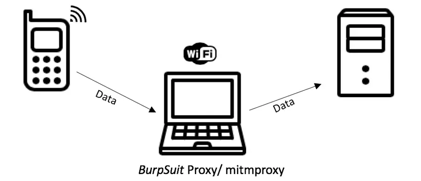 burp proxy