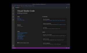 Install VSCode on Kali Linux