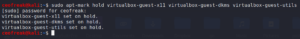 virtualbox shared clipboard stopped working-4.png