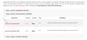 Install Kali Linux 2020.2 on VirtualBox