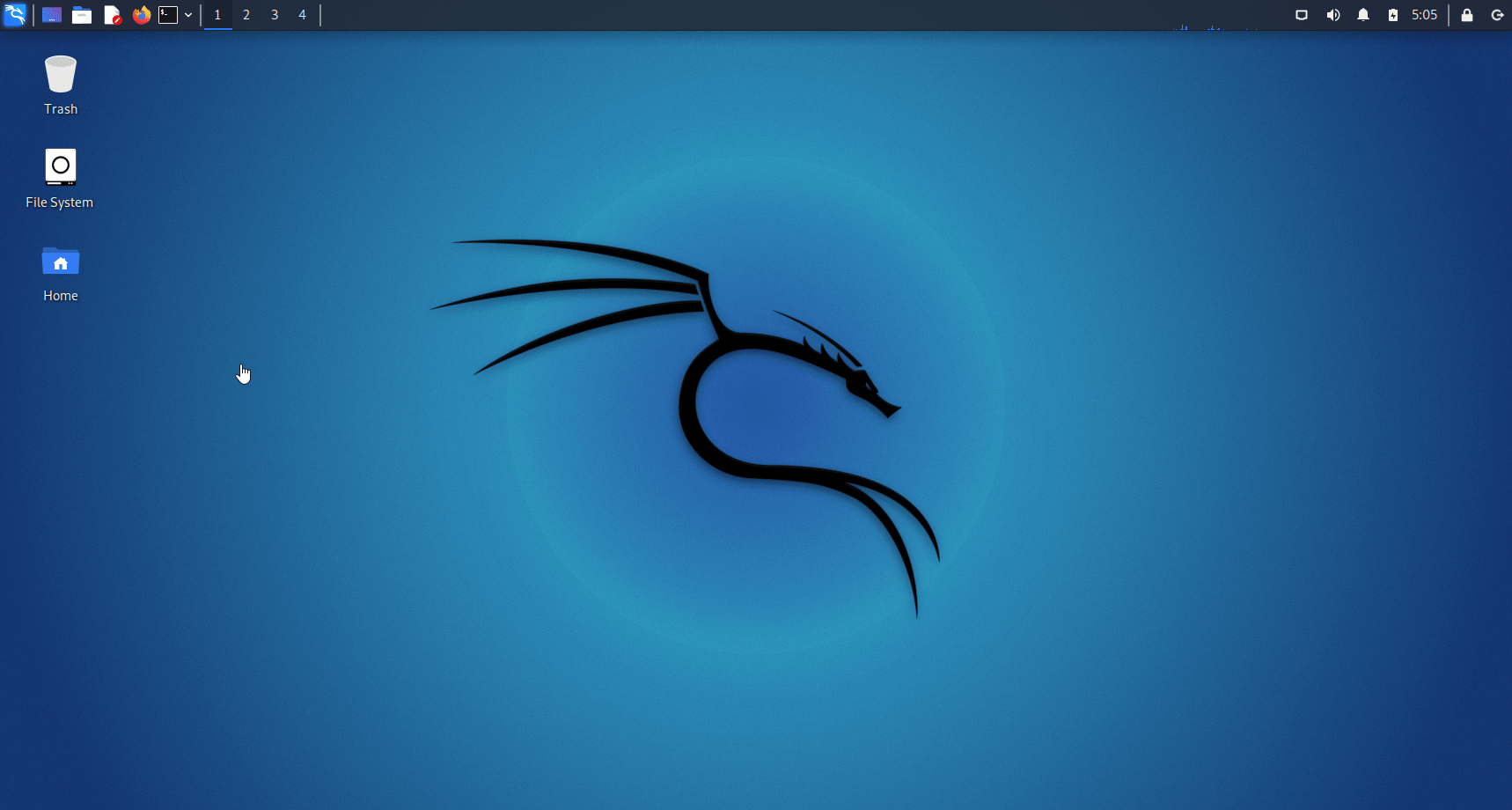 Top Things to do after installing Kali Linux