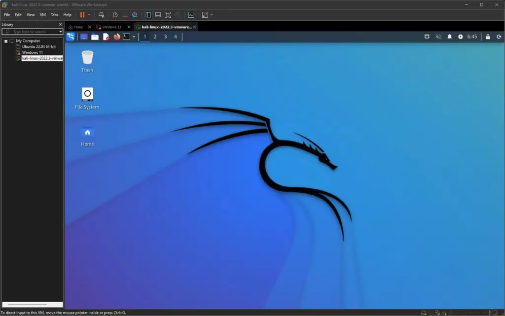Kali Linux on VMWare